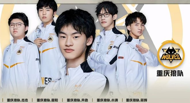 Vitality 战胜 Wildcard 进入 BLAST Rivals 2025 春季季后赛